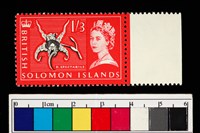 藏品(郵票)的圖片