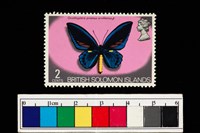 藏品(郵票)的圖片