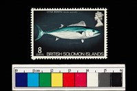 藏品(郵票)的圖片