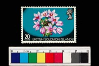 藏品(郵票)的圖片