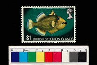 藏品(郵票)的圖片