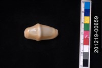 藏品(袖扣海兔螺)的圖片