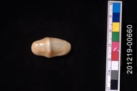 藏品(袖扣海兔螺)的圖片