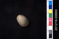 藏品(蜑螺)的圖片