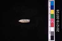 藏品(飛彈螺)的圖片