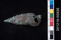 藏品(蟹守螺)的圖片