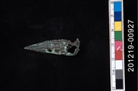 藏品(蟹守螺)的圖片