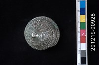 藏品(鐘螺)的圖片