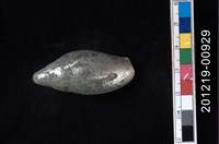 藏品(彈頭螺)的圖片