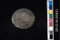 藏品(笠螺)的圖片