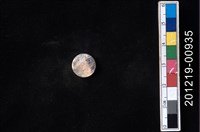 藏品(貝殼工藝品)的圖片