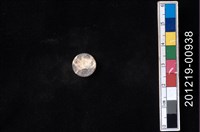 藏品(貝殼工藝品)的圖片