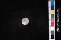 藏品(貝殼工藝品)的圖片