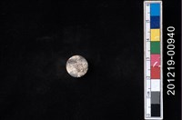 藏品(貝殼工藝品)的圖片