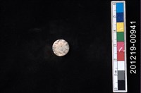 藏品(貝殼工藝品)的圖片