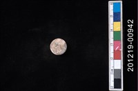 藏品(貝殼工藝品)的圖片