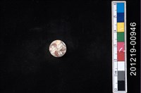 藏品(貝殼工藝品)的圖片