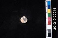 藏品(貝殼工藝品)的圖片