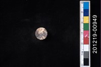 藏品(貝殼工藝品)的圖片