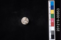 藏品(貝殼工藝品)的圖片