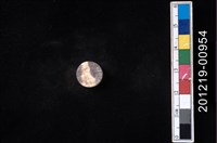 藏品(貝殼工藝品)的圖片