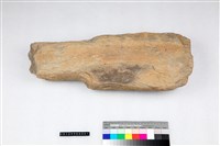 藏品(有肩單石)的圖片