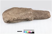 藏品(有肩單石)的圖片