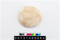 藏品(貝刮器)的圖片