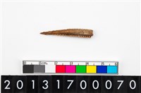 藏品(骨器)的圖片