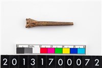 藏品(魚脊骨器)的圖片