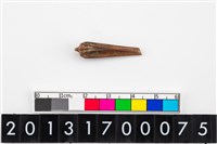 藏品(魚脊骨器)的圖片