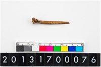 藏品(魚脊骨器)的圖片