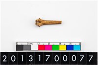 藏品(魚脊骨器)的圖片