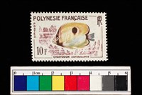 藏品(郵票)的圖片