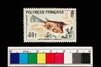 藏品(郵票)的圖片