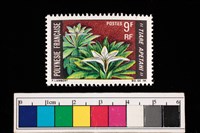 藏品(郵票)的圖片