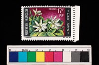 藏品(郵票)的圖片