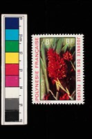 藏品(郵票)的圖片