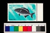 藏品(郵票)的圖片