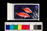 藏品(郵票)的圖片