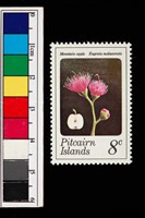 藏品(郵票)的圖片