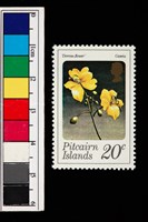 藏品(郵票)的圖片