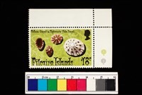 藏品(郵票)的圖片