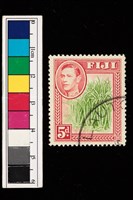 藏品(郵票)的圖片