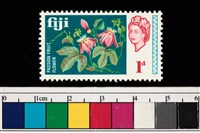 藏品(郵票)的圖片