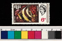 藏品(郵票)的圖片