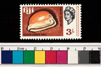 藏品(郵票)的圖片