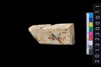 藏品(玉錛)的圖片