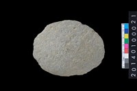 藏品(石片器)的圖片