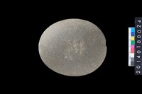 藏品(石錘)的圖片